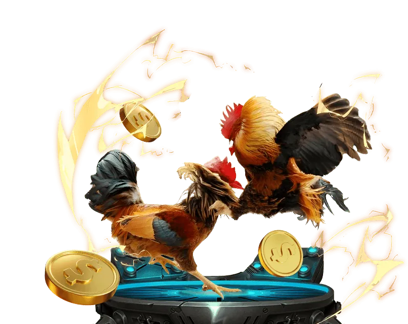 Hoàn trả ae888 meta